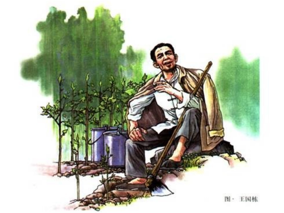 《桃花心木》_第3页