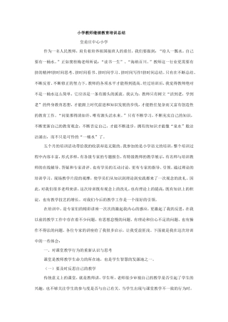 小学教师继续教育培训总结