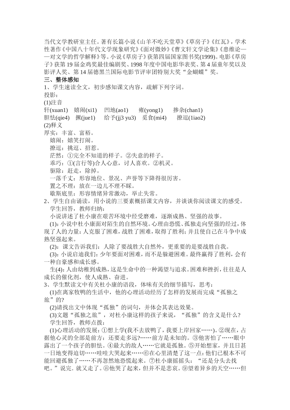 孤独之旅教学设计_第2页