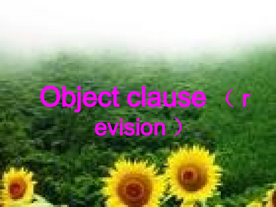 宾语从句复习_第1页