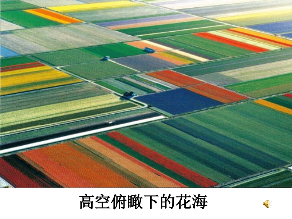 牧场之国课件（龙凤桥小学曹彬）_第2页