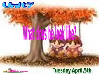 七年级英语7Whatdoeshelooklike课件4