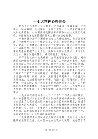 十七大精神心得体会