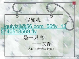 假如我是一只鸟(人教九下1)
