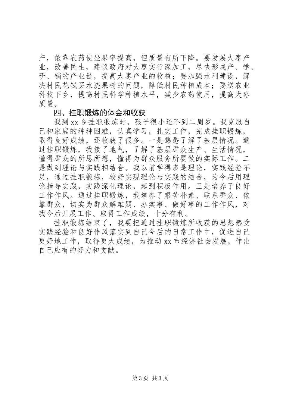 乡党委副书记挂职锻炼工作情况总结_第3页