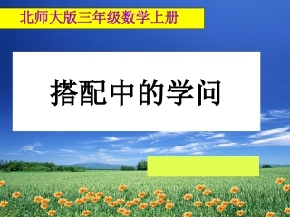 《搭配中的学问》课件
