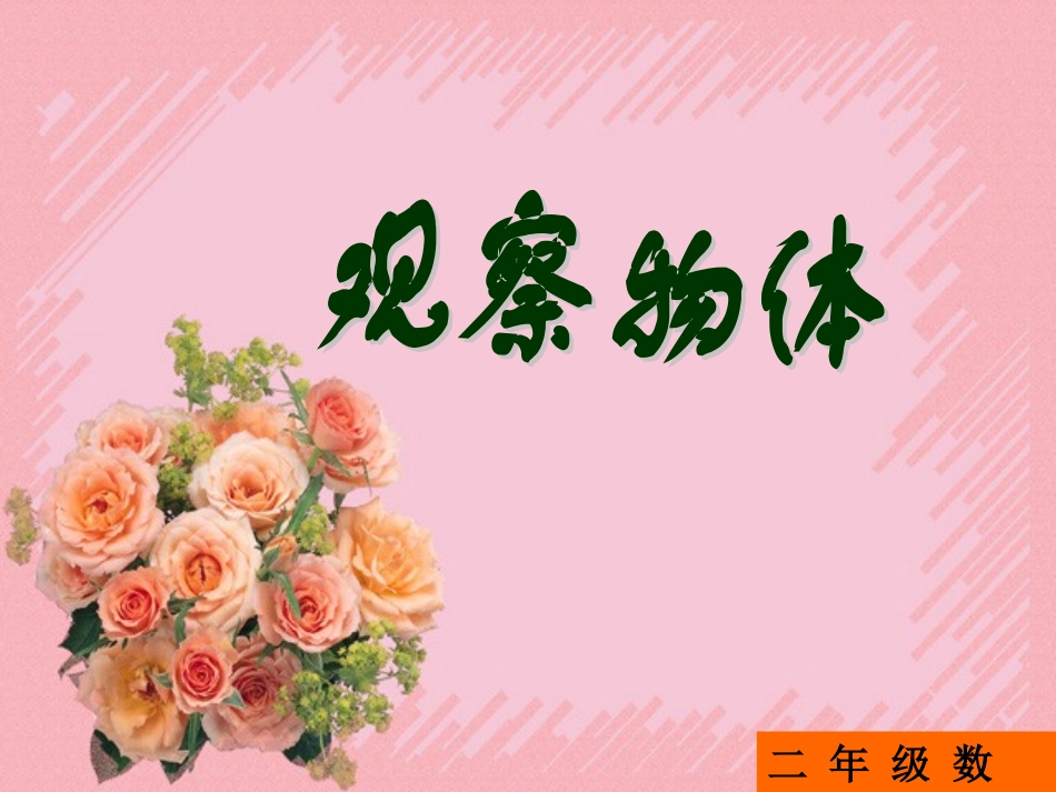 _观察物体[精品]_第1页