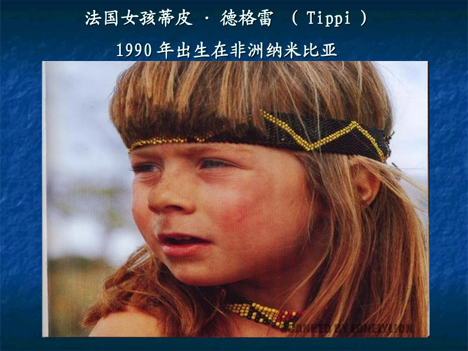 我的野生动物朋友_第2页