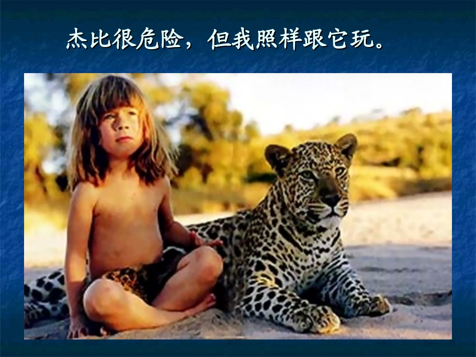 我的野生动物朋友_第3页