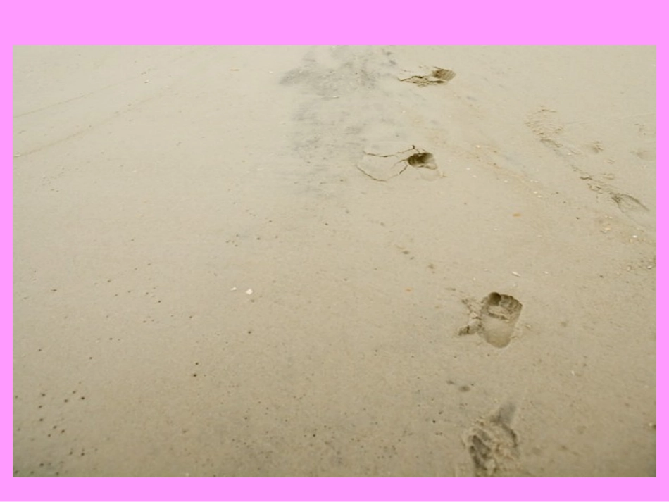 《成长的脚印》PPT课件_第3页