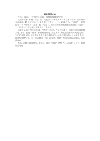 蚂蚁最爱吃啥