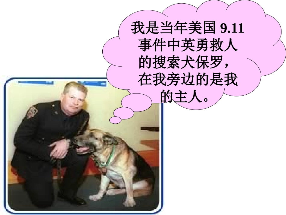 人教版品德与生活二年级下册《我和动物交朋友》课件_第2页