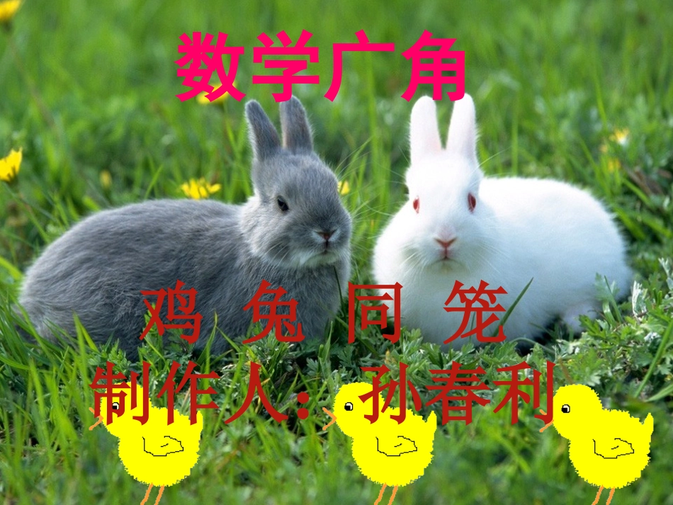 鸡兔同笼课件 (3)_第1页