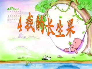 我的长生果完美版