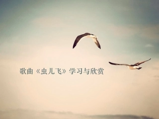 歌曲《虫儿飞》学习与欣赏