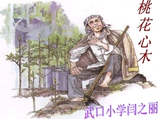 后方乡武口小学闫之丽桃花心木