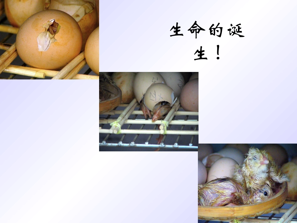 《短文两篇》课件2_第1页