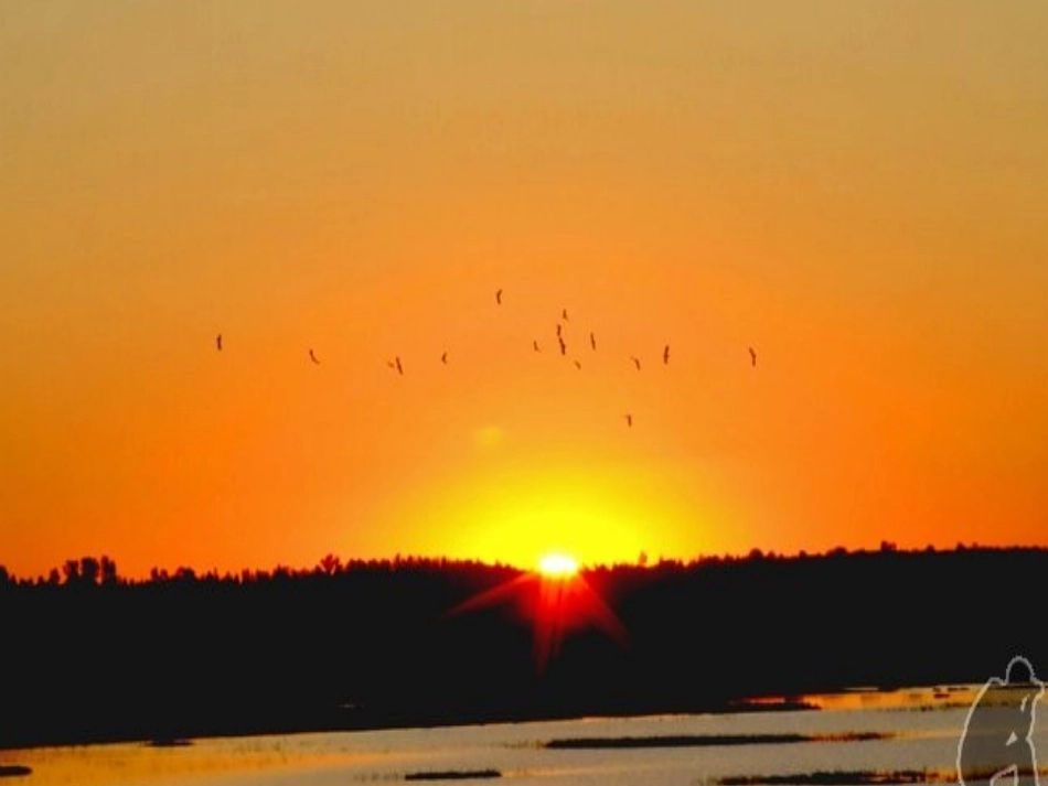 海上日出课件_第3页