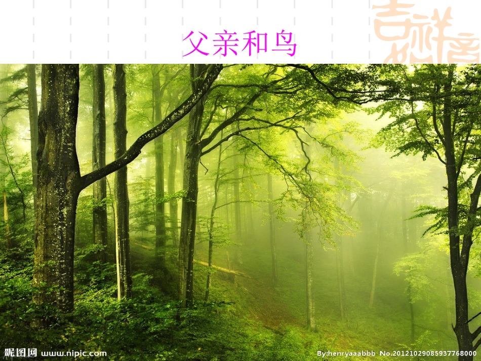 父亲和鸟课件_第1页