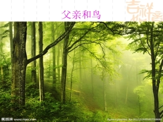 父亲和鸟课件