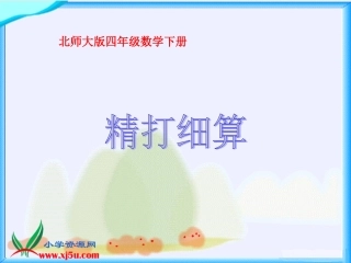 北师大版数学四年级下册《精打细算》PPT课件之二