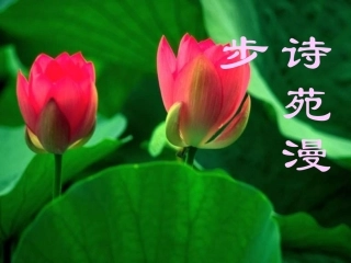 《古诗苑漫步》