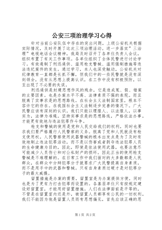 公安三项治理学习心得