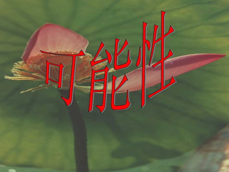 可能性[1]1_第1页