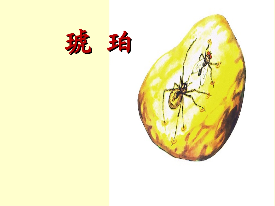 北师大版六年级下册《琥珀》课件_第1页