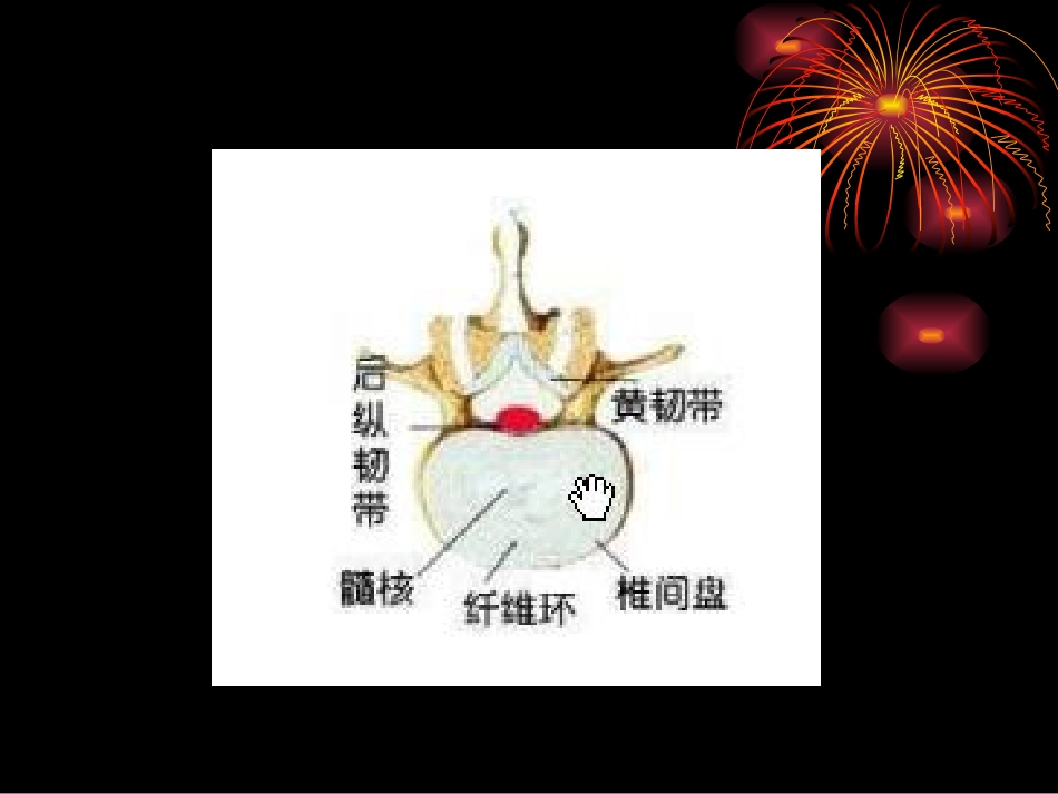 项痹、腰痛-2_第2页