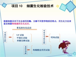 项目10-细菌生化检验技术