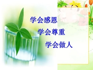 金色的脚印_4