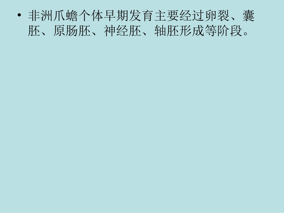 非洲爪蟾个体早期发育_第3页