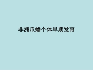 非洲爪蟾个体早期发育