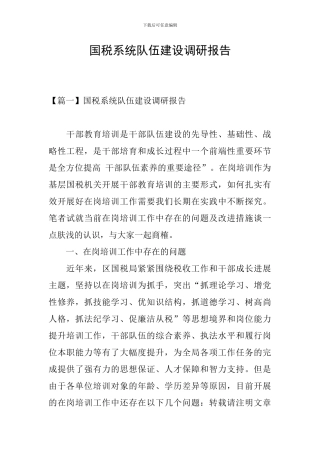 国税系统队伍建设调研报告