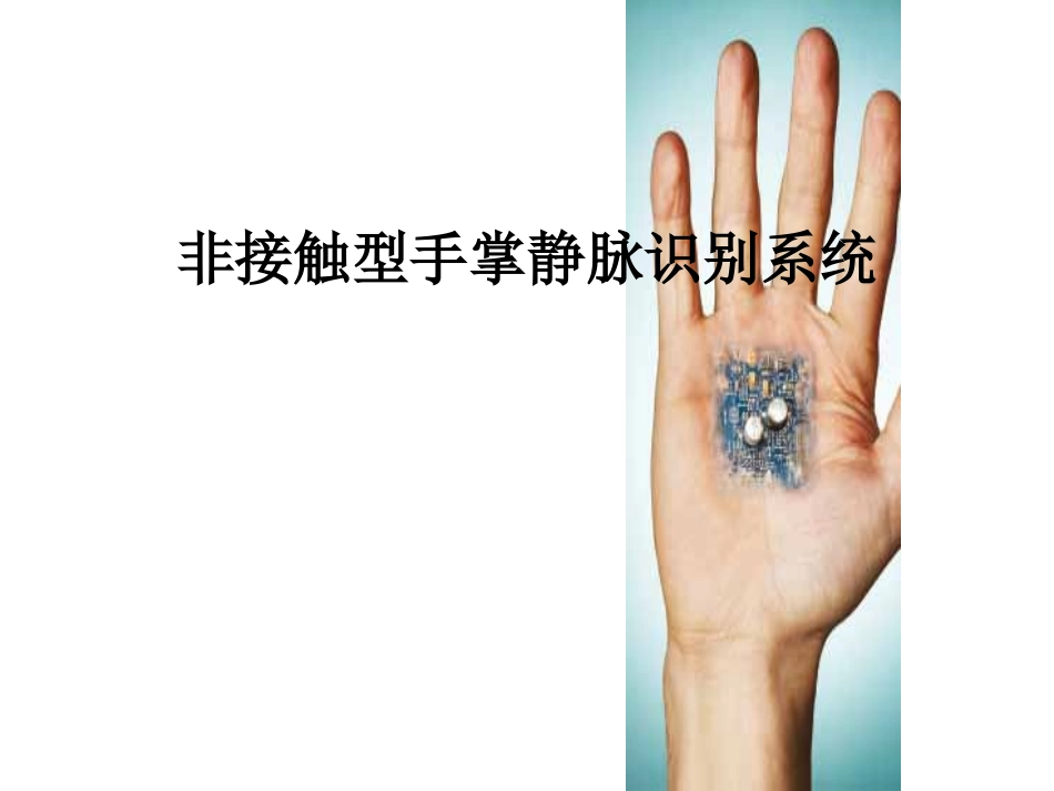 非接触型手掌静脉识别系统PalmSecure_第1页