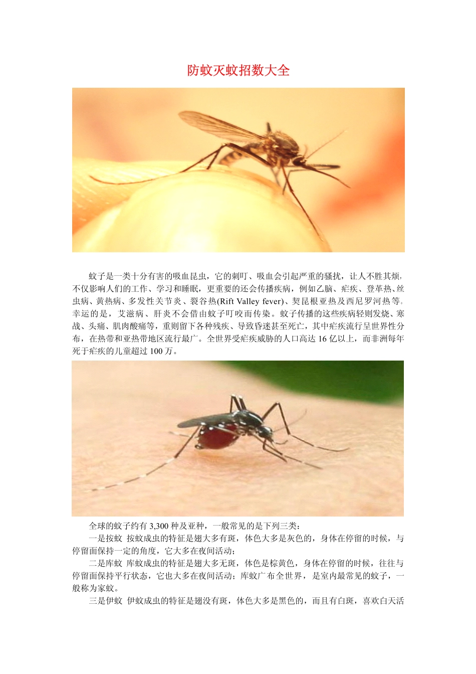 防蚊灭蚊招数大全_第1页