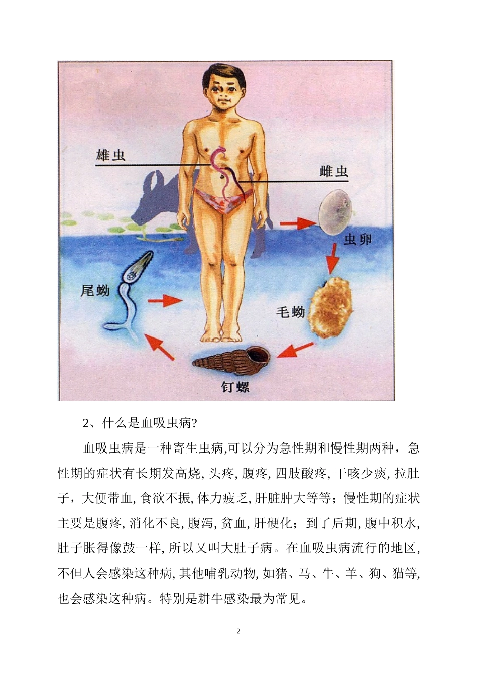 防治血吸虫病知识_第2页