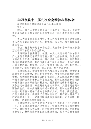 学习市委十二届九次全会精神心得体会
