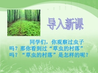 《草虫的村落》参考课件