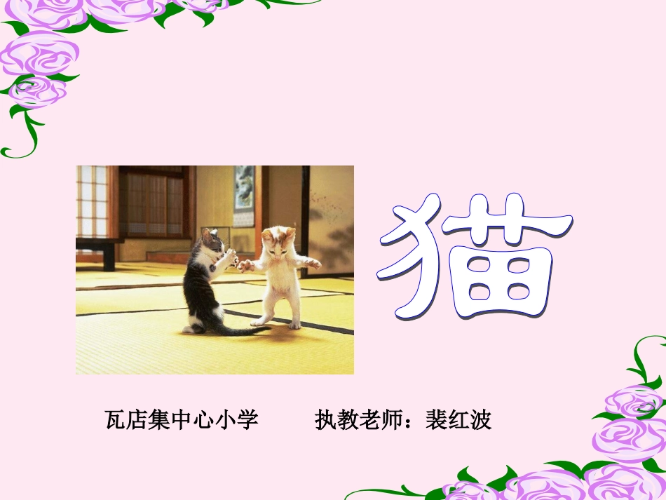 《猫》教学课件3_第1页
