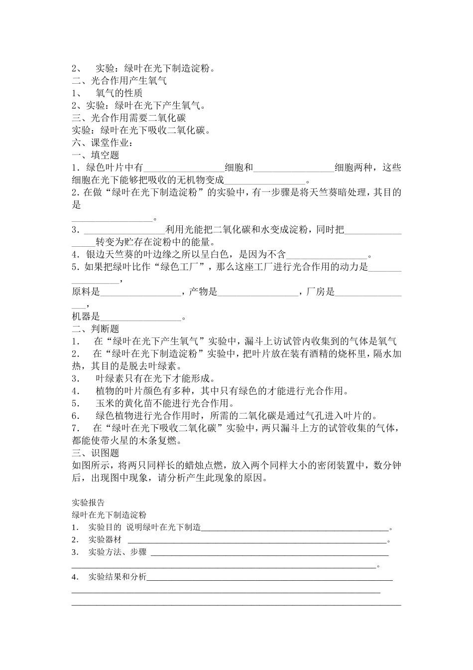 光合作用的实质_第3页