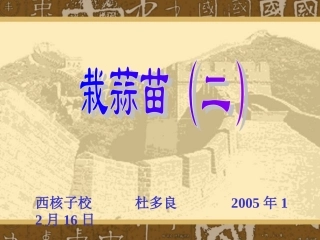 栽蒜苗（二）