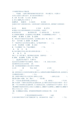 六年级数学期末水平测试卷