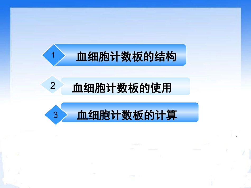 血细胞计数板的使用_第2页