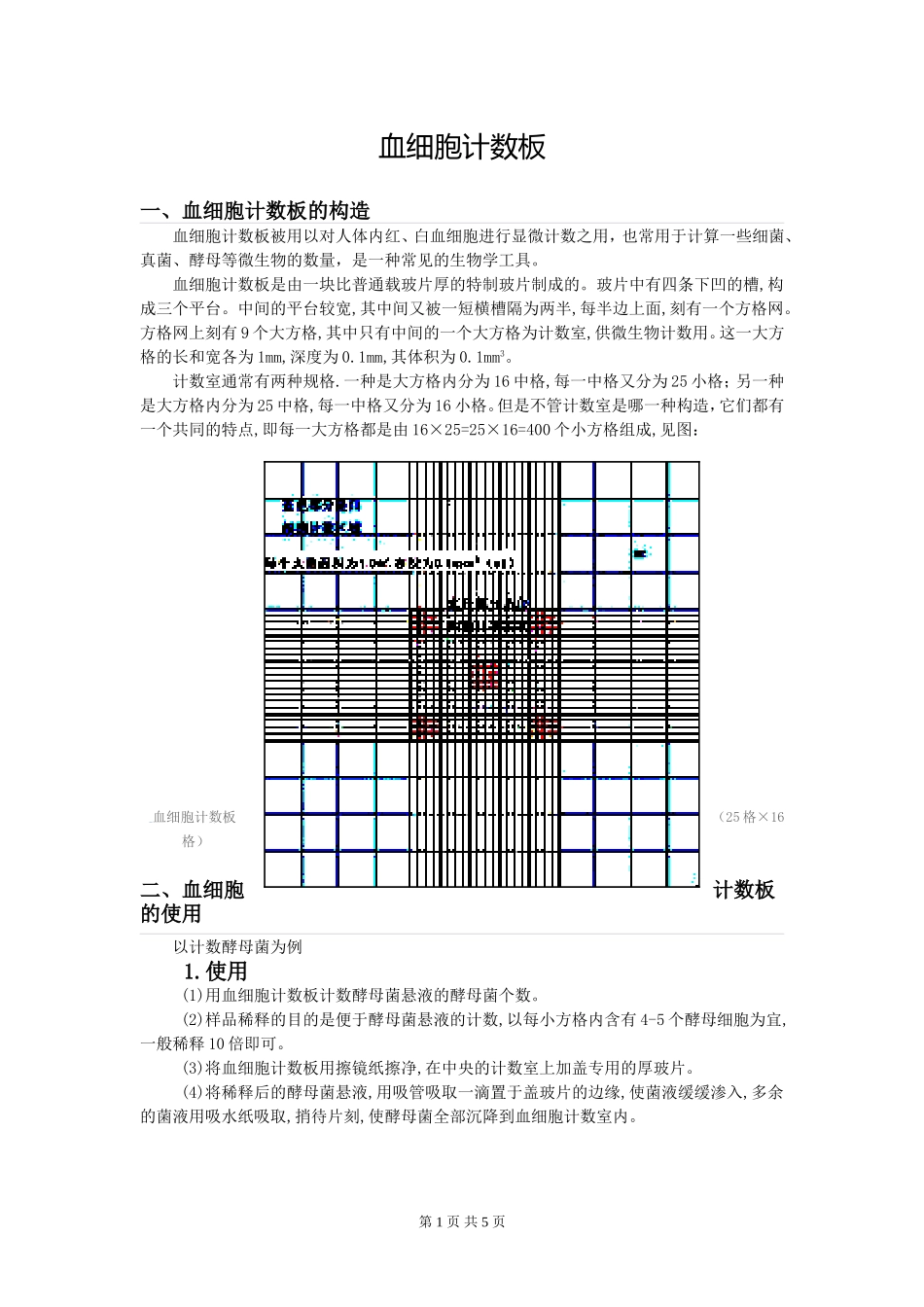 血细胞计数板相关知识及练习_第1页