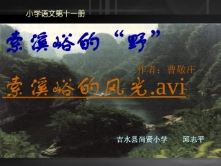 六年级《索溪峪的野》课件