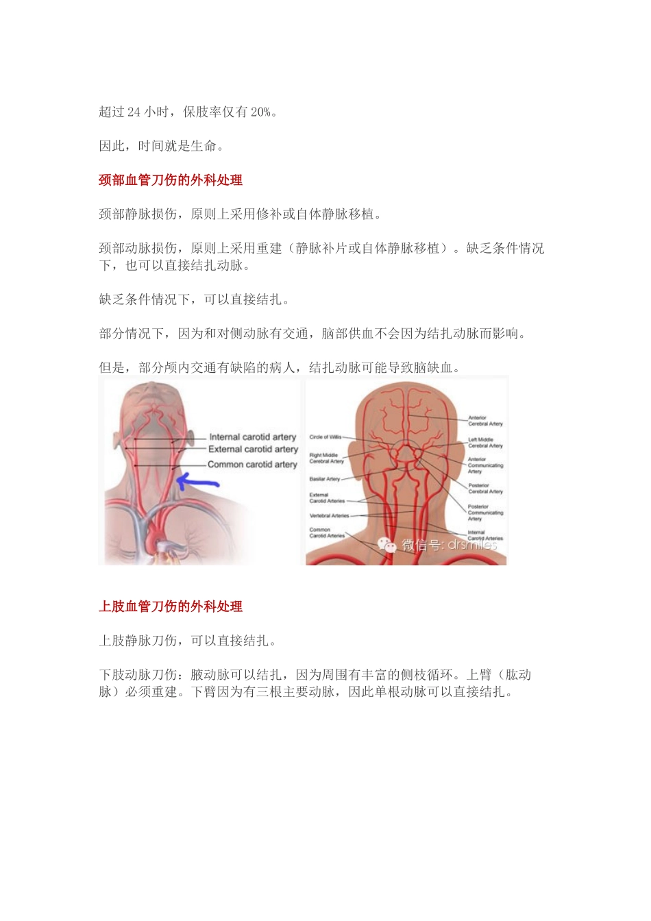 血管刀砍伤的紧急处理_第3页