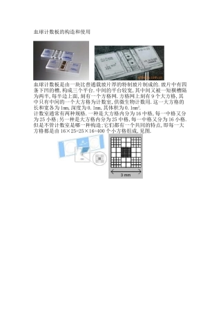 血球计数板的使用(有图指导)