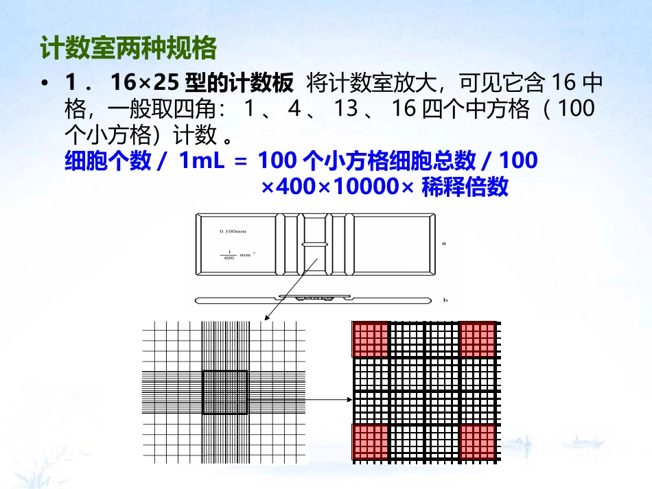 血球计数板使用资料_第3页